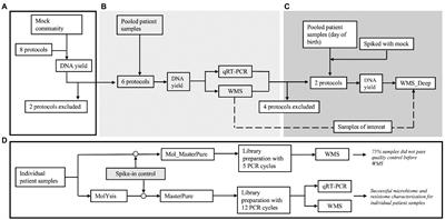 Microbial DNA extraction of high-host content and low biomass samples: Optimized protocol for nasopharynx metagenomic studies